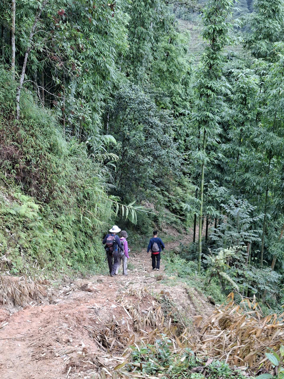 Sapa 1-Day Trek: Deep Immersion Hike through Y Linh Ho Mong, Lao Chai San & Ta Van